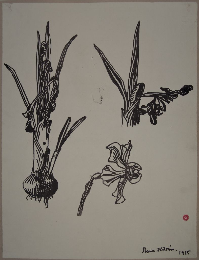 Karin Hildén, Kasvin osia, sipulikasvi ja kukkia, 1915