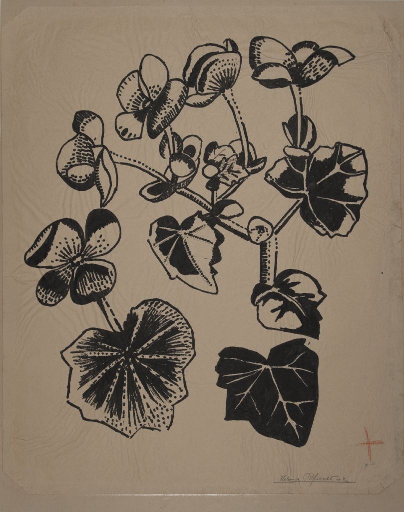 Helena Bifeldt, Kasvin osia, kukkia, 1915-1916