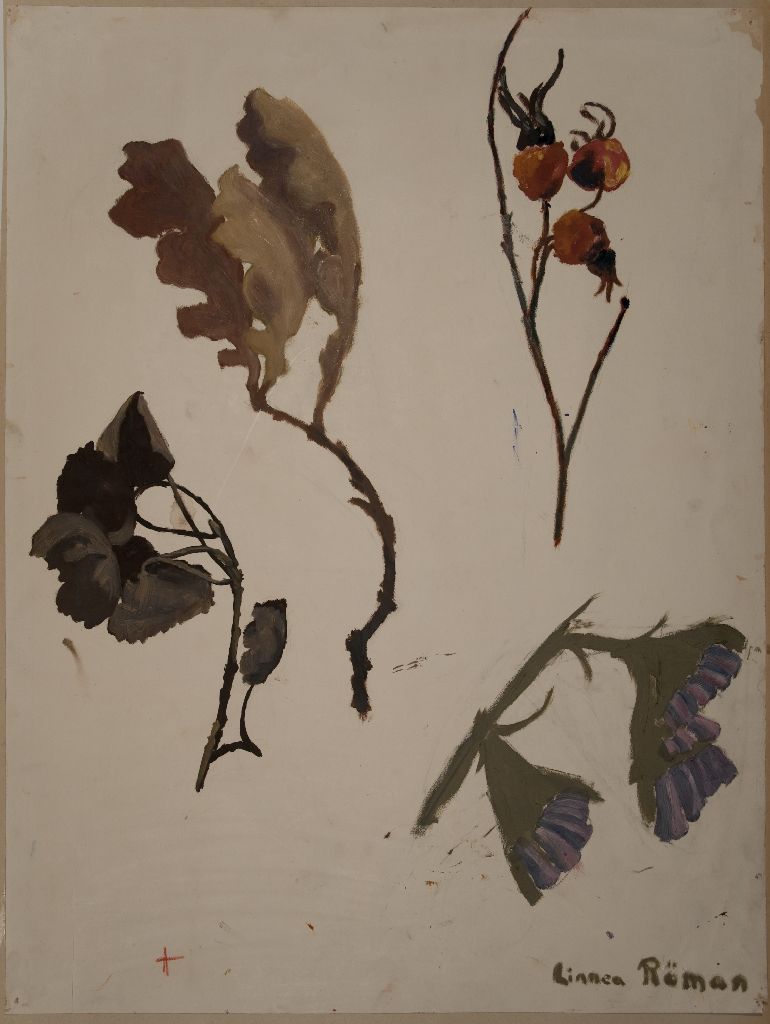 Linnea Röman, Kasvin osia, kukkia ja puita, 1915-1916