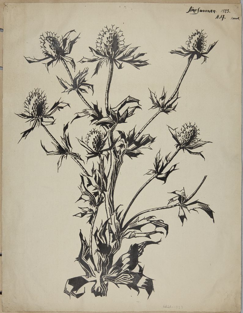 Aino Savonen, Kasvin osa, kukka, 1923
