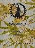 Näyttelyjuliste, Kasvipaja, 1995